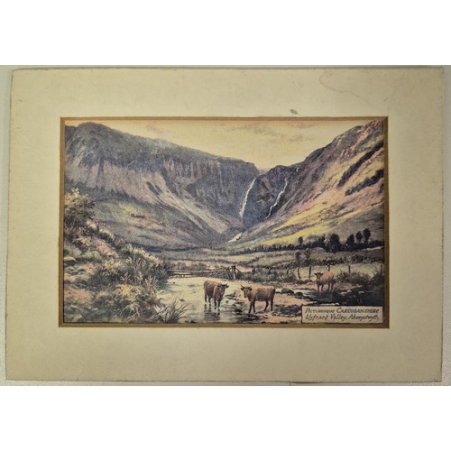 271 - 3 framed prints. To include Young Zebra, by Rolf Harris (limited edition 9/195, with certificate); m... 