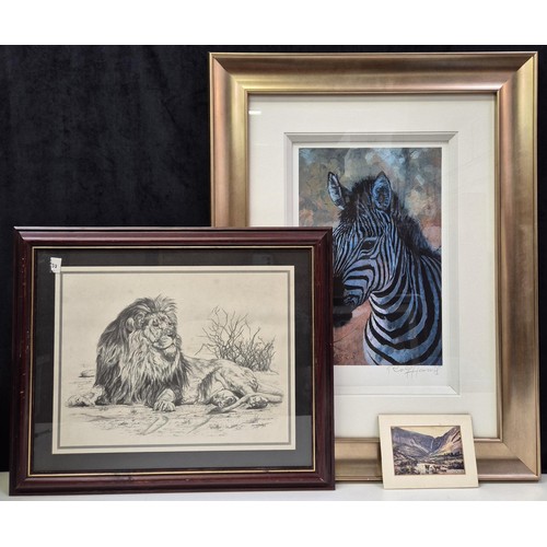 271 - 3 framed prints. To include Young Zebra, by Rolf Harris (limited edition 9/195, with certificate); m... 