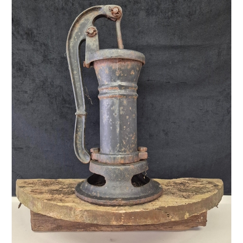 Lot 1455      