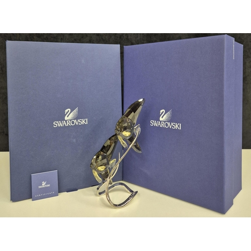 7008 - Swarovski model no: 1036571 - Smoky Batfish Pair

This serene pair of elegant Swarovski Batfish seem... 