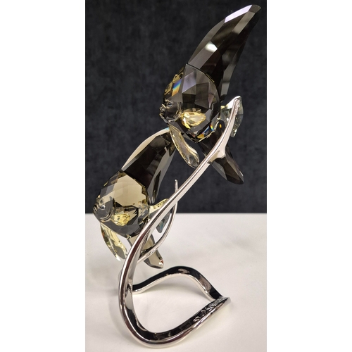 7008 - Swarovski model no: 1036571 - Smoky Batfish Pair

This serene pair of elegant Swarovski Batfish seem... 
