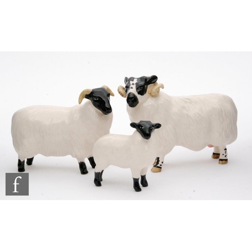 109 - A family of black-faced sheep comprising a ram model 3071, a ewe model 1765 and a lamb model 1828, a... 