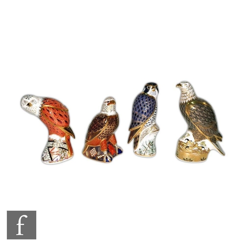 18 - Four Royal Crown Derby bird paperweights including Sea Eagle, Peregrine Falcon and Red Kite, all wit... 