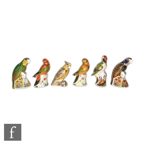20 - Six Royal Crown Derby bird paperweights comprising Amazon Green Parrot numbered 774 of 2500, Lorikee... 