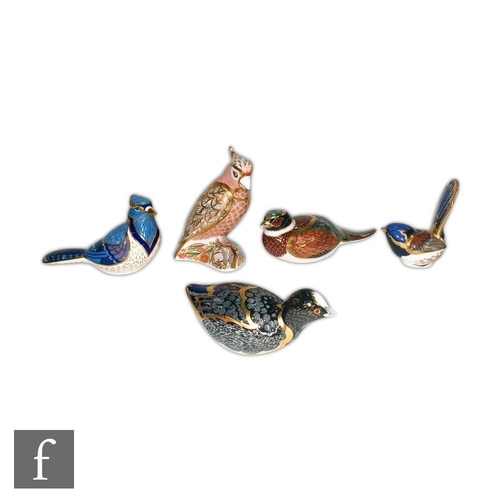 5 - Five Royal Crown Derby bird paperweights including Chatsworth Coot, Woodland Pheasant, made for the ... 