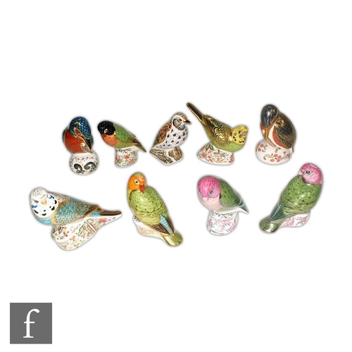 8 - Eight Royal Crown Derby bird paperweights to include Kedleston Kingfisher, Green Budgerigar, Red Fac... 