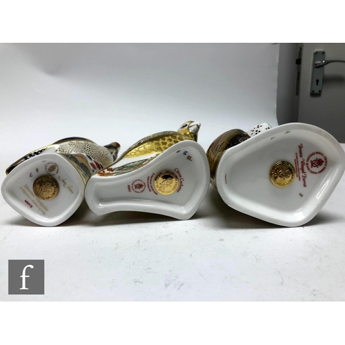 20 - Six Royal Crown Derby bird paperweights comprising Amazon Green Parrot numbered 774 of 2500, Lorikee... 