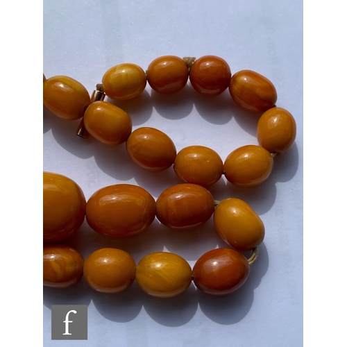 568 - A early 20th Century single row of graduated butterscotch amber beads terminating in 9ct tongue and ... 