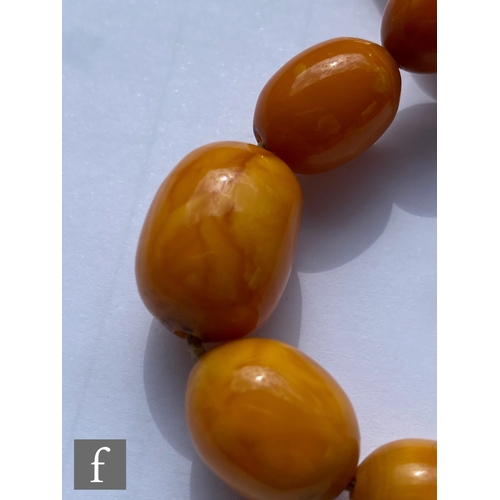 568 - A early 20th Century single row of graduated butterscotch amber beads terminating in 9ct tongue and ... 