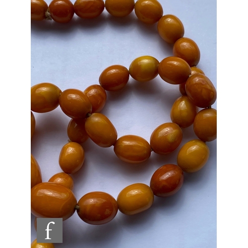 568 - A early 20th Century single row of graduated butterscotch amber beads terminating in 9ct tongue and ... 