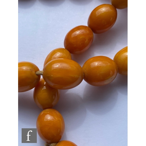 568 - A early 20th Century single row of graduated butterscotch amber beads terminating in 9ct tongue and ... 