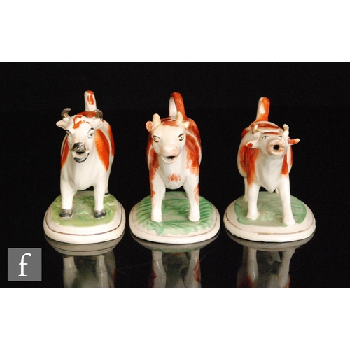 111 - Three 19th Century Staffordshire cow creamers and covers each with brown sponged patches and raised ... 