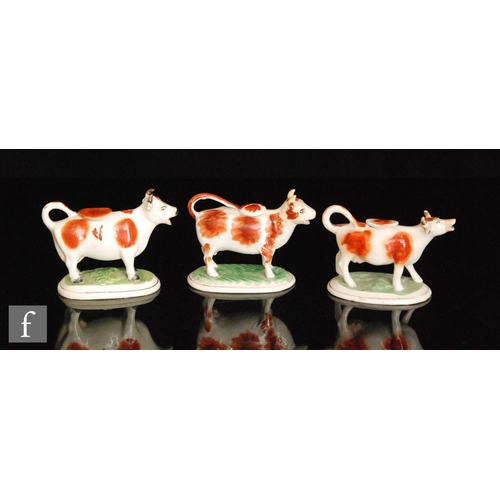 111 - Three 19th Century Staffordshire cow creamers and covers each with brown sponged patches and raised ... 