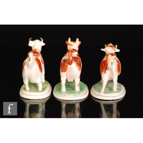 111 - Three 19th Century Staffordshire cow creamers and covers each with brown sponged patches and raised ... 