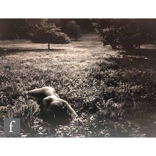 1147 - Frederic Chaubin (born 1959) - Reclining Nude, photographic image applied to aluminium, signed and d... 