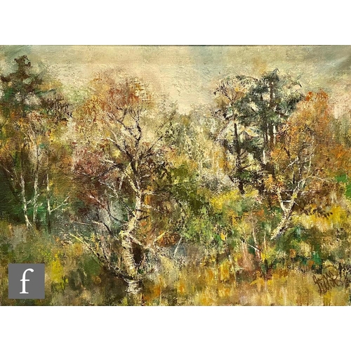 1165 - Modern British School - Forest scene, oil on canvas, signed indistinctly 'John'?, framed, 75cm x 100... 