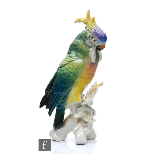 159 - A Karl Ens model of a cockatoo perched on a branch, printed mark, height 26cm.