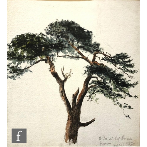 544 - SIR FRANK SHORT, RA, PPRE (1857–1945) - 'Old Fir at High House Farm', watercolour sketch, signed and... 