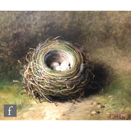 558 - ABEL HOLD (1815-1891) - Study of a bird's nest and eggs, oil on canvas, signed and dated 1887, frame... 