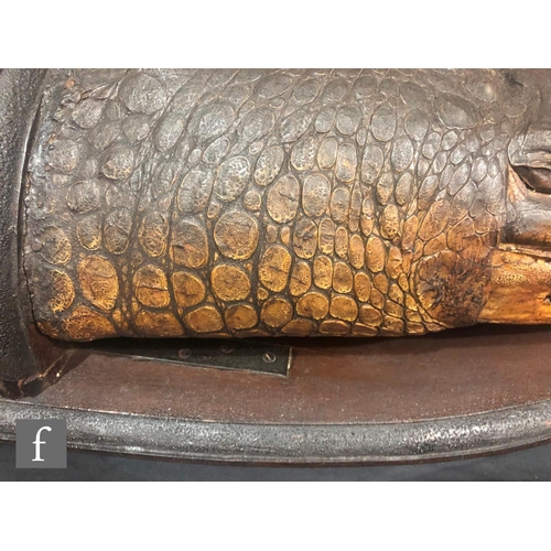 899 - A late 19th to early 20th Century taxidermy head study of gharial or gavial crocodile (Gavialis gang... 