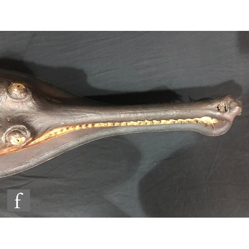 637 - A late 19th to early 20th Century taxidermy head study of gharial or gavial crocodile (Gavialis... 