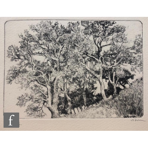 603 - Bayard Osborn (1922-2012) - A woodland scene, etching, signed in pencil and numbered 2/50, unframed,... 