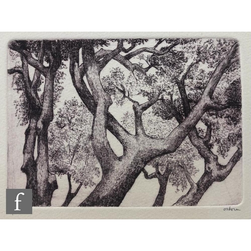 603 - Bayard Osborn (1922-2012) - A woodland scene, etching, signed in pencil and numbered 2/50, unframed,... 