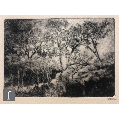 603 - Bayard Osborn (1922-2012) - A woodland scene, etching, signed in pencil and numbered 2/50, unframed,... 