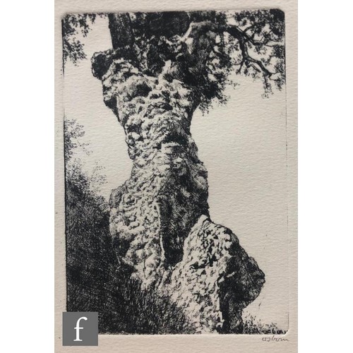 617 - Bayard Osborn (1922-2012) - Oak trees, etching, signed in pencil and numbered 9/50, unframed, 17cm x... 