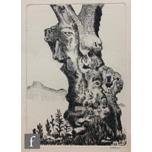 617 - Bayard Osborn (1922-2012) - Oak trees, etching, signed in pencil and numbered 9/50, unframed, 17cm x... 