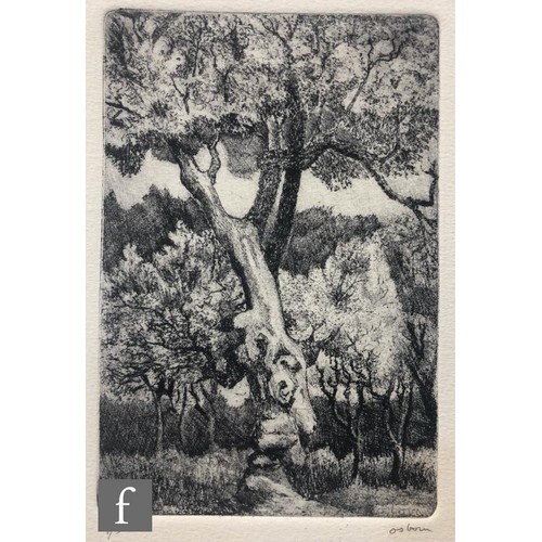 617 - Bayard Osborn (1922-2012) - Oak trees, etching, signed in pencil and numbered 9/50, unframed, 17cm x... 