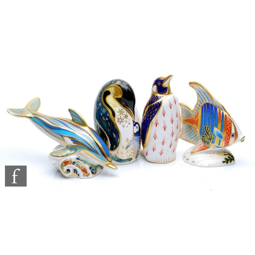 18 - Four Royal Crown Derby paperweights comprising Pacific Angel Fish, numbered 311 of 2500, a dolphin, ... 