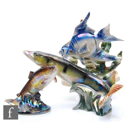 38 - Three mid 20th Century Jema of Holland models of fish comprising a group of angel fish, a pike and a... 