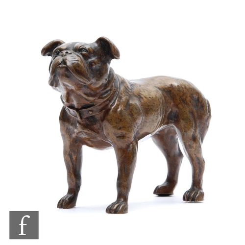 465 - A 19th Century bronze model of a standing bulldog, length 12cm.