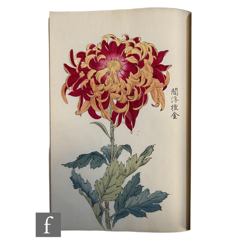 943 - Hasegawa, Keika (Japanese, Active 1892-1905) - 'One Hundred Chrysanthemums', volumes one and two onl... 