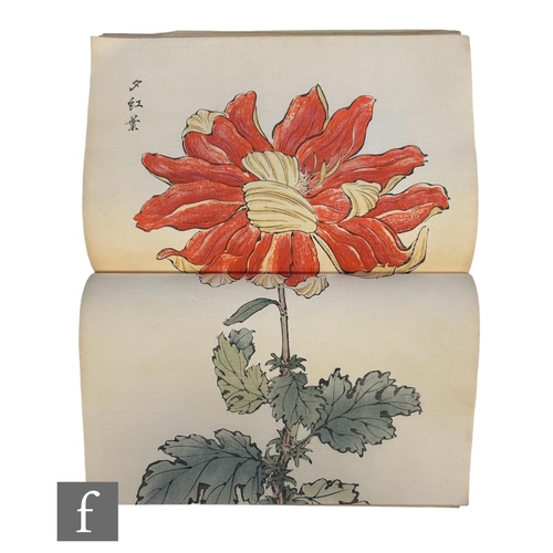 943 - Hasegawa, Keika (Japanese, Active 1892-1905) - 'One Hundred Chrysanthemums', volumes one and two onl... 