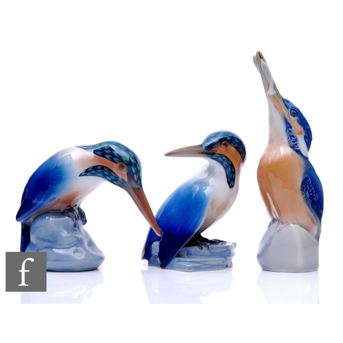 527 - A Royal Copenhagen figure of a kingfisher designed by Peter Herold, model number 2257, together with... 