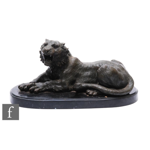 398 - A 20th Century bronze study of a recumbent snarling tiger, on oval plinth base, width 36cm.