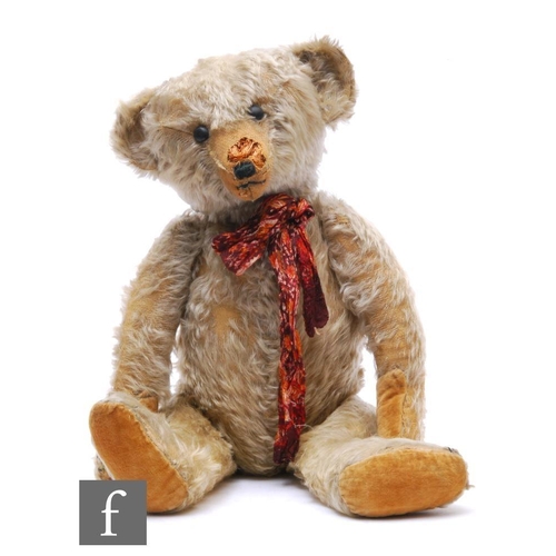 An early 20th Century English teddy bear, circa 1908, blonde mohair, boot button eyes, swivel head, clipped muzzle, height 56cm, well loved.