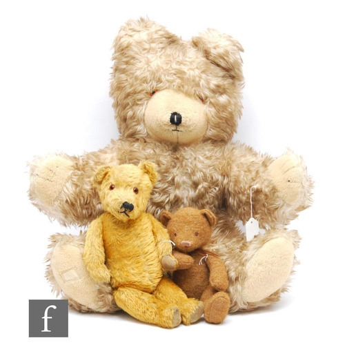 4480 - A mid century teddy bear with golden mohair, amber and black glass eyes and vertically stitched nose... 