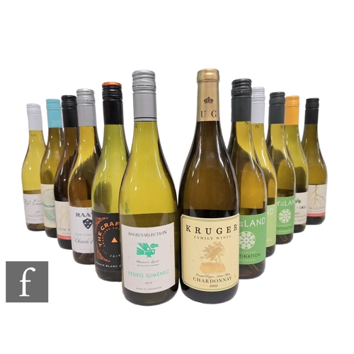 442 - Twelve bottles of new world white wines including New Zealand, South African, Argentinian etc includ... 