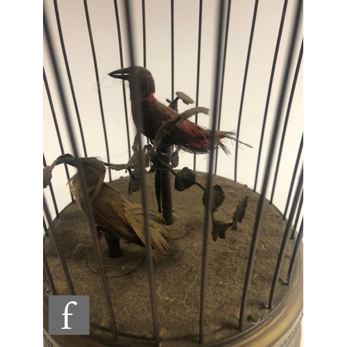 364 - An early 20th Century Griesbaum two singing birds in a brass cage, both birds move and sing, height ... 