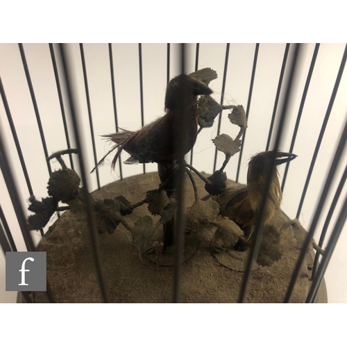 364 - An early 20th Century Griesbaum two singing birds in a brass cage, both birds move and sing, height ... 