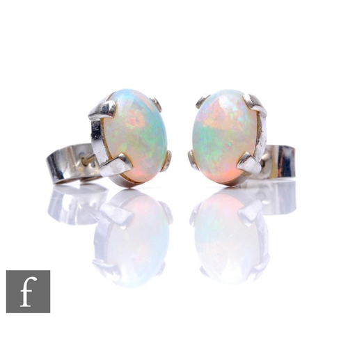 288 - A pair of 18ct white gold opal stud earrings, claw set oval stones, length 10mm, total weight 3.4g.