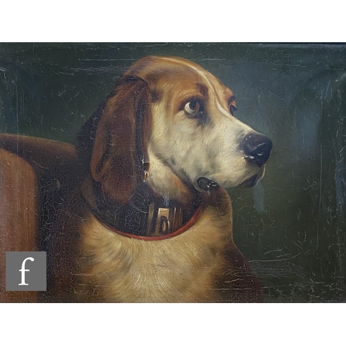 417 - AFTER SIR EDWIN LANDSEER - 'Odin - a bloodhound', oil on canvas, inscribed verso, framed, 50cm x 65c... 