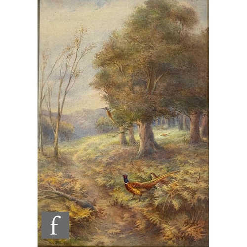 419 - HARRY STINTON (1883-1968) - Pheasants in an autumnal landscape, watercolour, signed, framed, 38cm x ... 