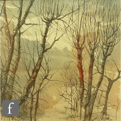 438 - JUDITH WOODINGS (CONTEMPORARY) - 'Edge of the Woods', lithograph, signed in pencil and numbered 3/7,... 