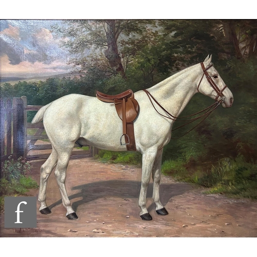 419 - W. VIZARD (LATE 19TH CENTURY) - A portrait of a grey mare standing in a wooded landscape, oil on can... 