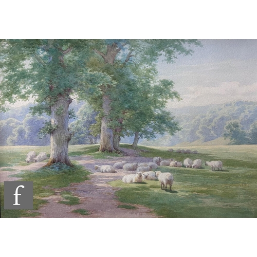 422 - CHARLES JAMES ADAMS (1859-1931) - Sheep resting in the shade of an oak tree, watercolour, signed, fr... 