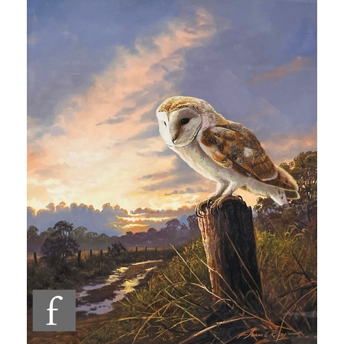 916 - ADRIAN RIGBY (BORN 1962) - A barn owl perched on a stump, gouache, signed, framed, 38cm x 30cm, fram... 